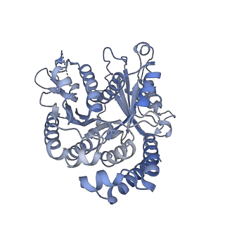 40220_8glv_Az_v1-2
96-nm repeat unit of doublet microtubules from Chlamydomonas reinhardtii flagella