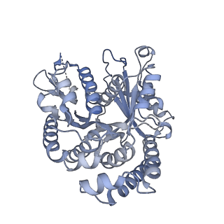 40220_8glv_B0_v1-2
96-nm repeat unit of doublet microtubules from Chlamydomonas reinhardtii flagella