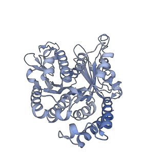 40220_8glv_B1_v1-2
96-nm repeat unit of doublet microtubules from Chlamydomonas reinhardtii flagella