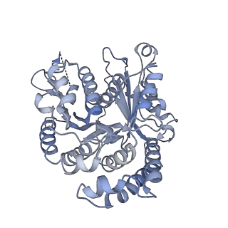 40220_8glv_B2_v1-2
96-nm repeat unit of doublet microtubules from Chlamydomonas reinhardtii flagella
