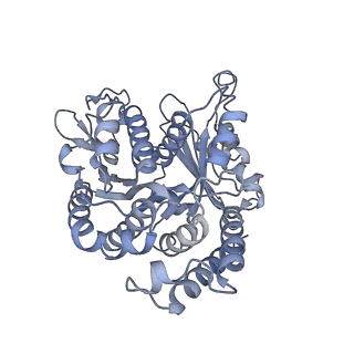 40220_8glv_B3_v1-2
96-nm repeat unit of doublet microtubules from Chlamydomonas reinhardtii flagella