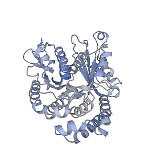 40220_8glv_B4_v1-2
96-nm repeat unit of doublet microtubules from Chlamydomonas reinhardtii flagella