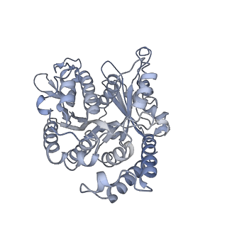 40220_8glv_B5_v1-2
96-nm repeat unit of doublet microtubules from Chlamydomonas reinhardtii flagella