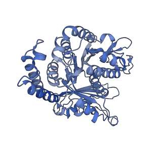 40220_8glv_B6_v1-2
96-nm repeat unit of doublet microtubules from Chlamydomonas reinhardtii flagella