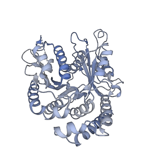 40220_8glv_B7_v1-2
96-nm repeat unit of doublet microtubules from Chlamydomonas reinhardtii flagella