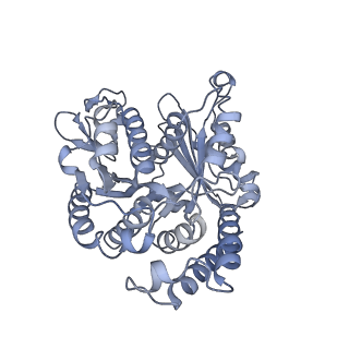 40220_8glv_B8_v1-2
96-nm repeat unit of doublet microtubules from Chlamydomonas reinhardtii flagella