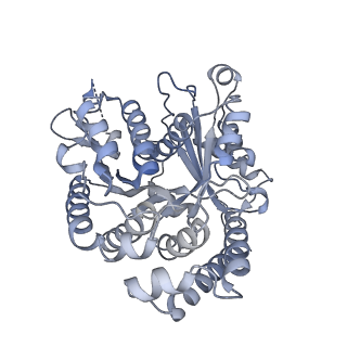 40220_8glv_B9_v1-2
96-nm repeat unit of doublet microtubules from Chlamydomonas reinhardtii flagella