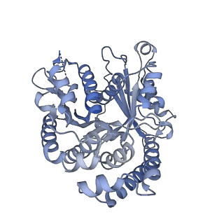 40220_8glv_BA_v1-2
96-nm repeat unit of doublet microtubules from Chlamydomonas reinhardtii flagella