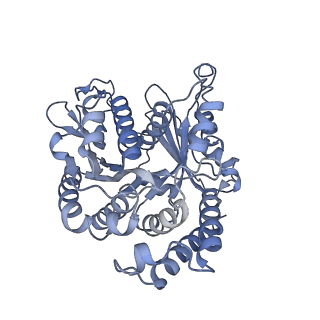 40220_8glv_BB_v1-2
96-nm repeat unit of doublet microtubules from Chlamydomonas reinhardtii flagella