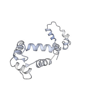 40220_8glv_BC_v1-2
96-nm repeat unit of doublet microtubules from Chlamydomonas reinhardtii flagella