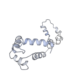 40220_8glv_BD_v1-2
96-nm repeat unit of doublet microtubules from Chlamydomonas reinhardtii flagella