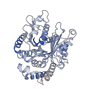 40220_8glv_BF_v1-2
96-nm repeat unit of doublet microtubules from Chlamydomonas reinhardtii flagella