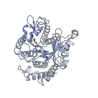 40220_8glv_BG_v1-2
96-nm repeat unit of doublet microtubules from Chlamydomonas reinhardtii flagella