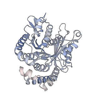 40220_8glv_BH_v1-2
96-nm repeat unit of doublet microtubules from Chlamydomonas reinhardtii flagella