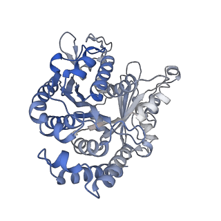 40220_8glv_BI_v1-2
96-nm repeat unit of doublet microtubules from Chlamydomonas reinhardtii flagella