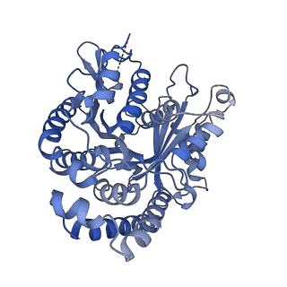 40220_8glv_BJ_v1-2
96-nm repeat unit of doublet microtubules from Chlamydomonas reinhardtii flagella