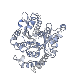 40220_8glv_BK_v1-2
96-nm repeat unit of doublet microtubules from Chlamydomonas reinhardtii flagella