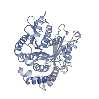 40220_8glv_BL_v1-2
96-nm repeat unit of doublet microtubules from Chlamydomonas reinhardtii flagella