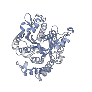 40220_8glv_BM_v1-2
96-nm repeat unit of doublet microtubules from Chlamydomonas reinhardtii flagella
