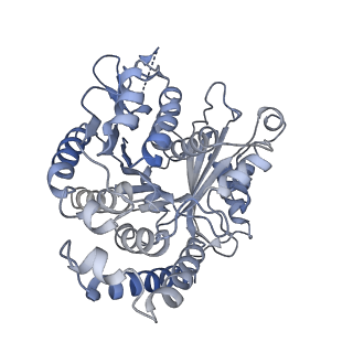 40220_8glv_BN_v1-2
96-nm repeat unit of doublet microtubules from Chlamydomonas reinhardtii flagella