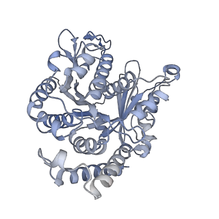 40220_8glv_BO_v1-2
96-nm repeat unit of doublet microtubules from Chlamydomonas reinhardtii flagella