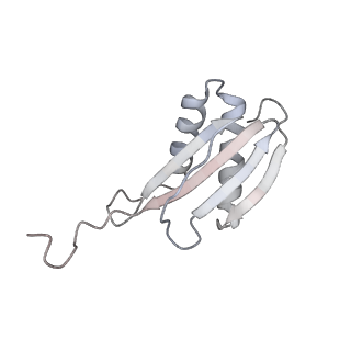 40220_8glv_BP_v1-2
96-nm repeat unit of doublet microtubules from Chlamydomonas reinhardtii flagella