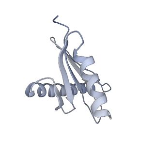 40220_8glv_BQ_v1-2
96-nm repeat unit of doublet microtubules from Chlamydomonas reinhardtii flagella