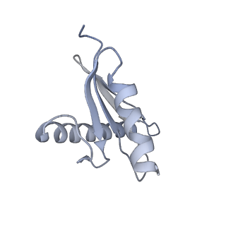 40220_8glv_BR_v1-2
96-nm repeat unit of doublet microtubules from Chlamydomonas reinhardtii flagella