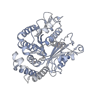 40220_8glv_BT_v1-2
96-nm repeat unit of doublet microtubules from Chlamydomonas reinhardtii flagella