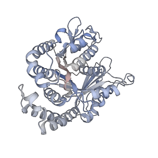 40220_8glv_BU_v1-2
96-nm repeat unit of doublet microtubules from Chlamydomonas reinhardtii flagella