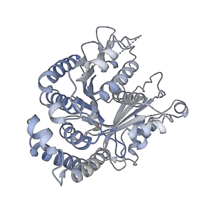 40220_8glv_BV_v1-2
96-nm repeat unit of doublet microtubules from Chlamydomonas reinhardtii flagella