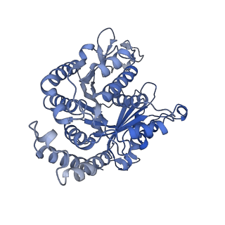 40220_8glv_BW_v1-2
96-nm repeat unit of doublet microtubules from Chlamydomonas reinhardtii flagella
