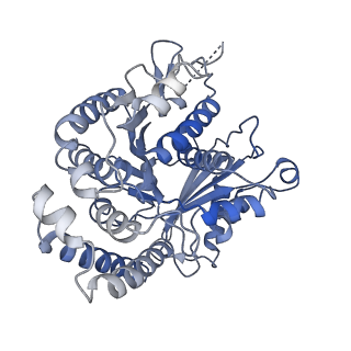 40220_8glv_BX_v1-2
96-nm repeat unit of doublet microtubules from Chlamydomonas reinhardtii flagella