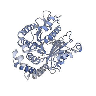40220_8glv_BZ_v1-2
96-nm repeat unit of doublet microtubules from Chlamydomonas reinhardtii flagella