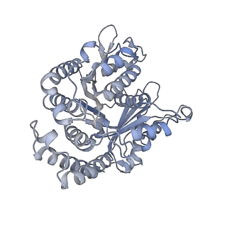 40220_8glv_Ba_v1-2
96-nm repeat unit of doublet microtubules from Chlamydomonas reinhardtii flagella