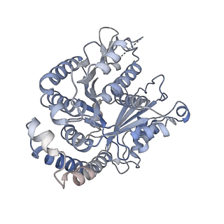 40220_8glv_Bb_v1-2
96-nm repeat unit of doublet microtubules from Chlamydomonas reinhardtii flagella