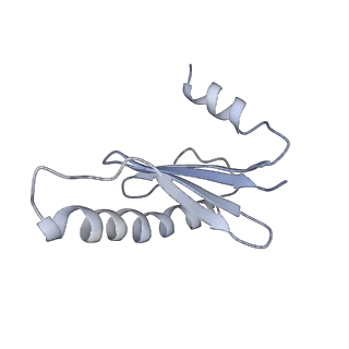 40220_8glv_Bc_v1-2
96-nm repeat unit of doublet microtubules from Chlamydomonas reinhardtii flagella