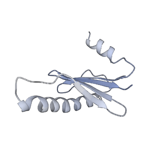 40220_8glv_Bd_v1-2
96-nm repeat unit of doublet microtubules from Chlamydomonas reinhardtii flagella
