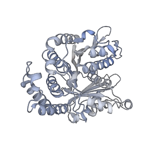 40220_8glv_Bf_v1-2
96-nm repeat unit of doublet microtubules from Chlamydomonas reinhardtii flagella