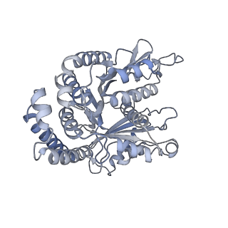 40220_8glv_Bg_v1-2
96-nm repeat unit of doublet microtubules from Chlamydomonas reinhardtii flagella