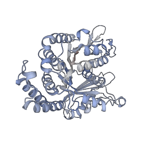 40220_8glv_Bh_v1-2
96-nm repeat unit of doublet microtubules from Chlamydomonas reinhardtii flagella