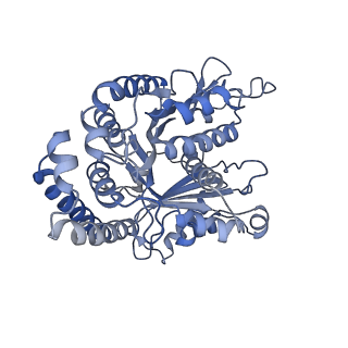 40220_8glv_Bi_v1-2
96-nm repeat unit of doublet microtubules from Chlamydomonas reinhardtii flagella