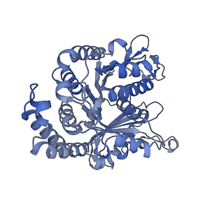 40220_8glv_Bj_v1-2
96-nm repeat unit of doublet microtubules from Chlamydomonas reinhardtii flagella