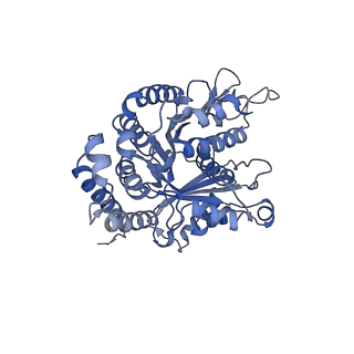 40220_8glv_Bk_v1-2
96-nm repeat unit of doublet microtubules from Chlamydomonas reinhardtii flagella