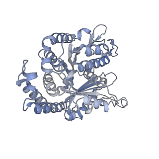 40220_8glv_Bl_v1-2
96-nm repeat unit of doublet microtubules from Chlamydomonas reinhardtii flagella