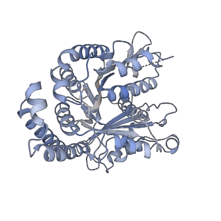 40220_8glv_Bm_v1-2
96-nm repeat unit of doublet microtubules from Chlamydomonas reinhardtii flagella