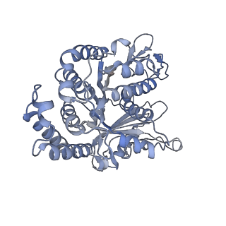 40220_8glv_Bn_v1-2
96-nm repeat unit of doublet microtubules from Chlamydomonas reinhardtii flagella