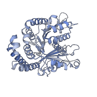 40220_8glv_Bo_v1-2
96-nm repeat unit of doublet microtubules from Chlamydomonas reinhardtii flagella