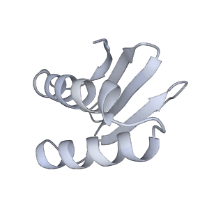 40220_8glv_Bq_v1-2
96-nm repeat unit of doublet microtubules from Chlamydomonas reinhardtii flagella