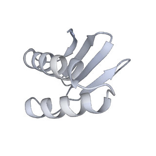 40220_8glv_Br_v1-2
96-nm repeat unit of doublet microtubules from Chlamydomonas reinhardtii flagella